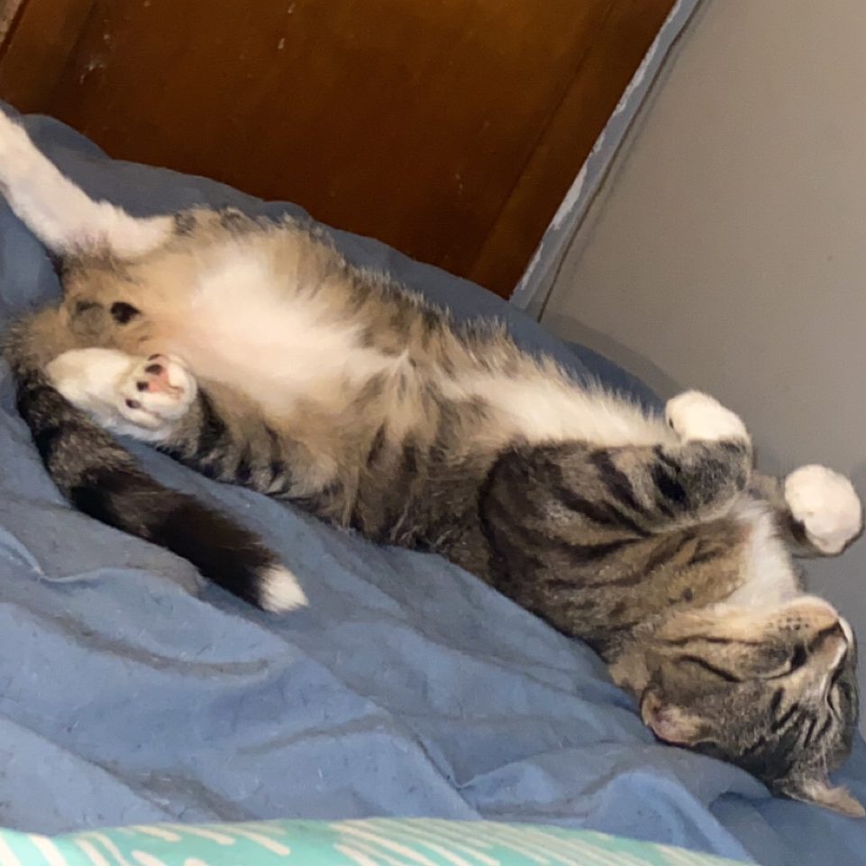 Happy Sunday! Are you Happy with Today’s Society?