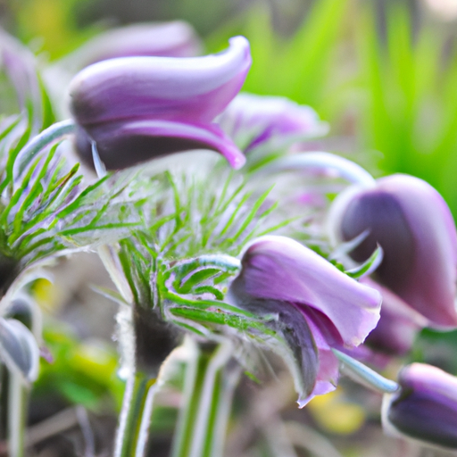 Fresh April