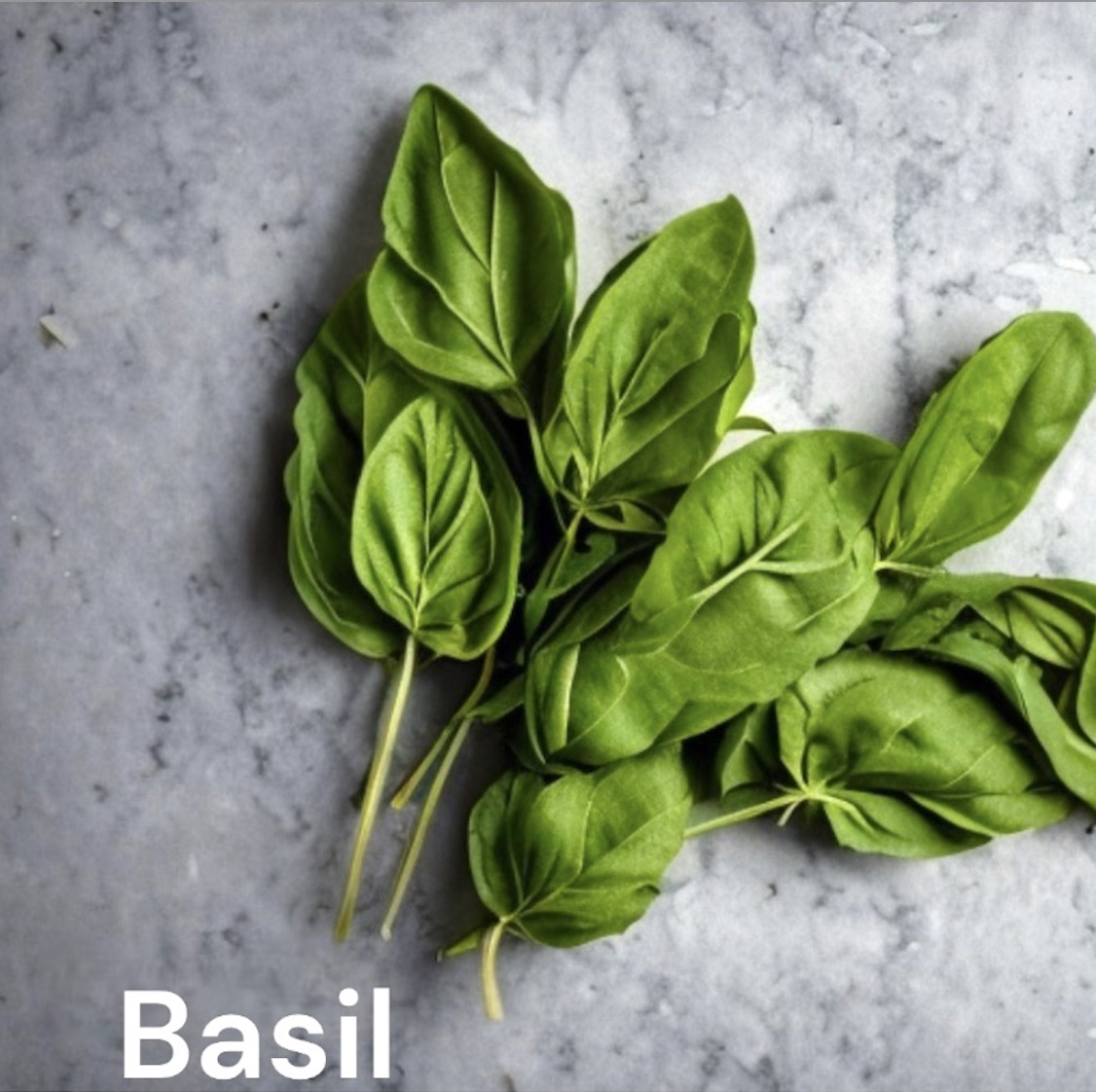 Basil and its’ Healing Properties